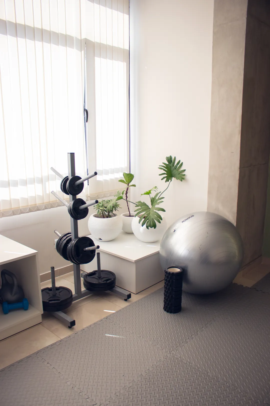 Rincón de la sala de kinesiología con discos, pelota y rodillo